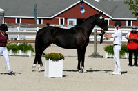HSM_5194