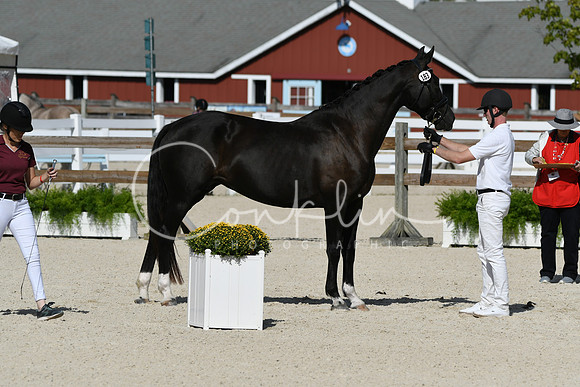 HSM_5194