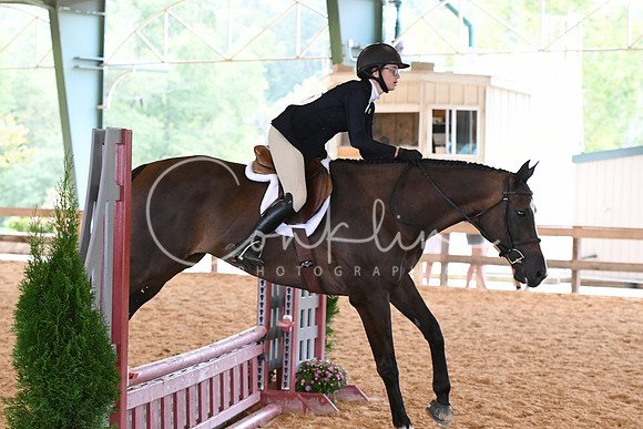 HSM_1193