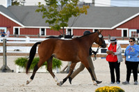 HSM_5475
