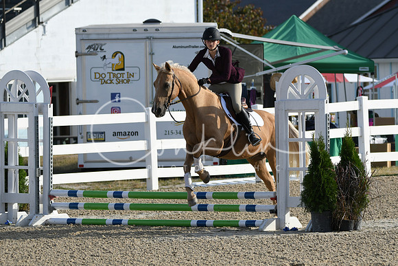 HSM_1278