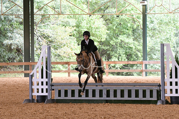 HSM_2955