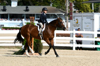 HSM_6025