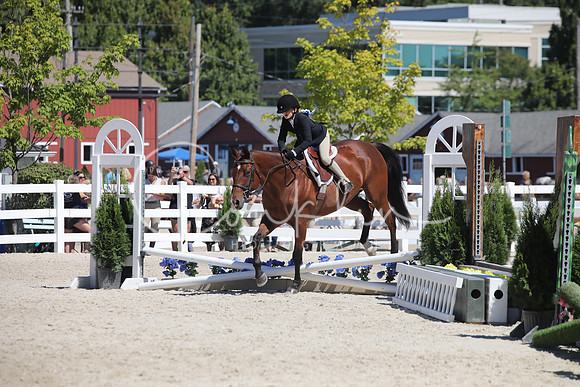 5H2A4124