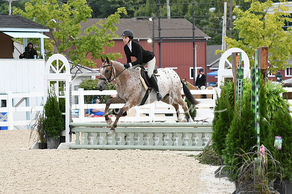 HSM_5110