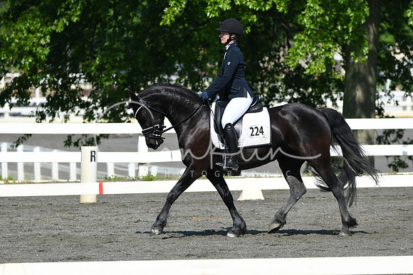 HSM_1147
