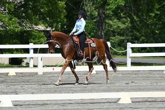 HSM_2769