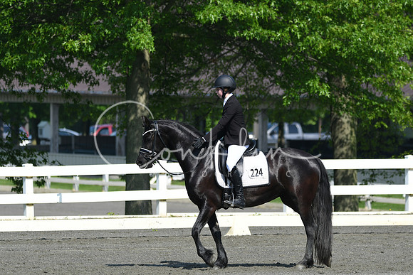 HSM_1094