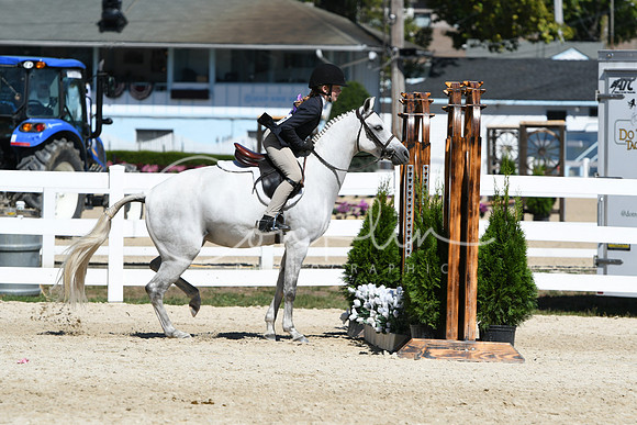 HSM_2831