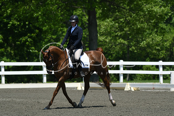 HSM_1784