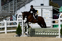 HSM_9163