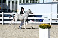 HSM_4442