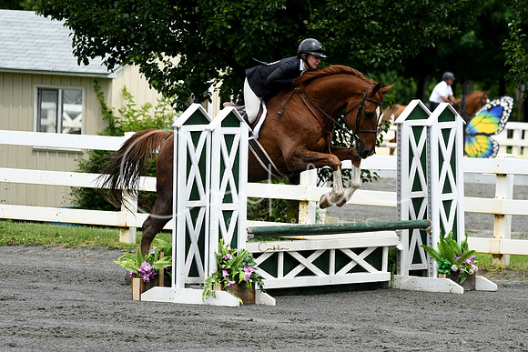 HSM_3931-1