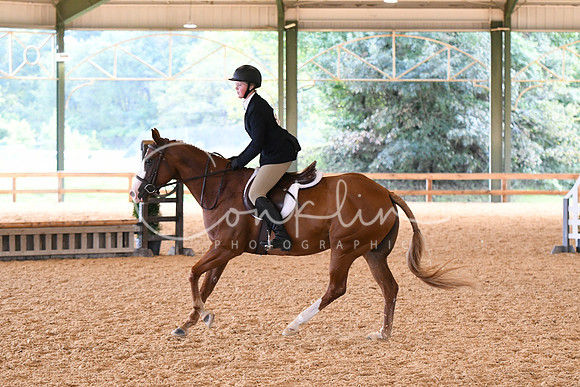 HSM_1050