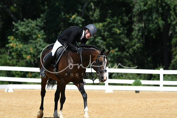 HSM_1262