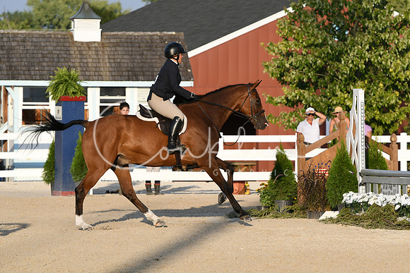 HSM_0237