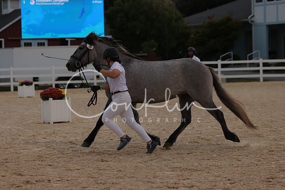 HLK_2419