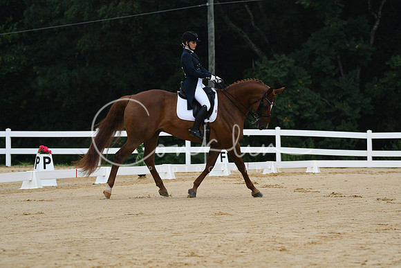 HSM_9335