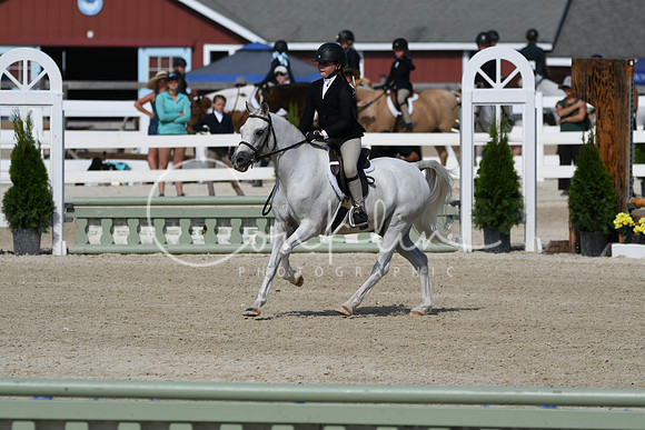 HSM_3801