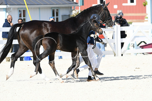 HSM_5325