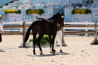 RJC31372