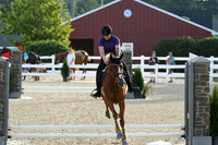 HSM_1172