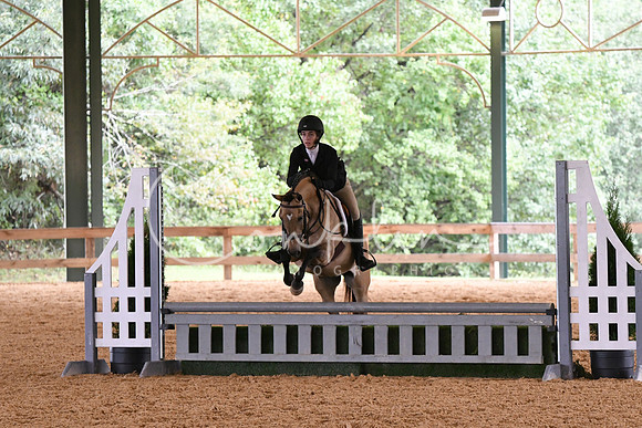 HSM_2954
