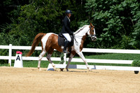 HSM_1311