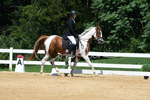 HSM_1311