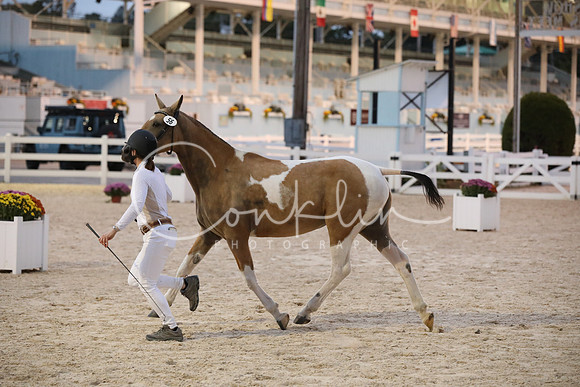 BW242190