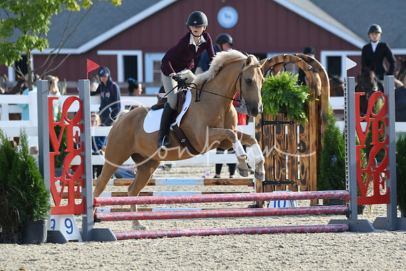 HSM_1282