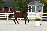 HSM_5751