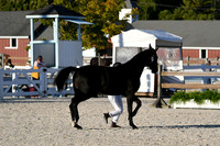 HSM_5574