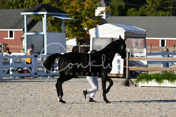 HSM_5574