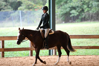 HSM_0806