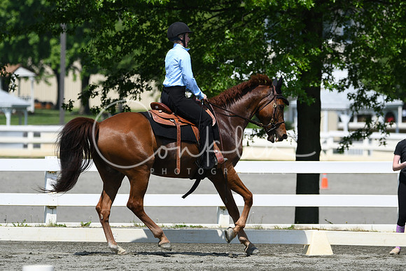 HSM_2860