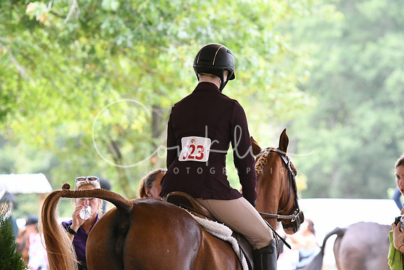 HSM_1383