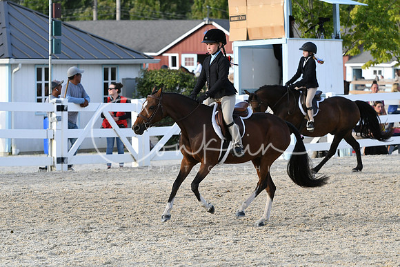HSM_4578