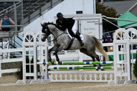 HSM_2674