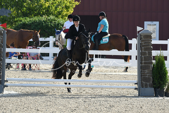 HSM_1392