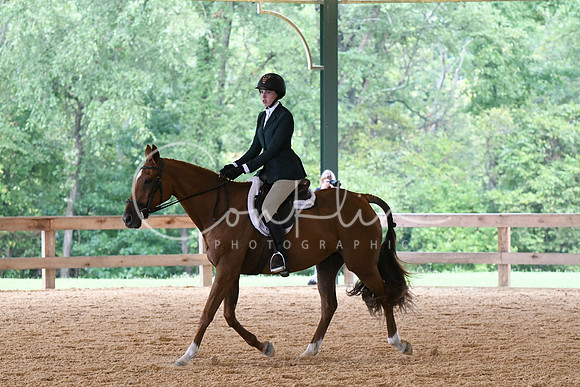 HSM_2466