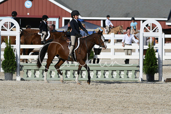 HSM_4332