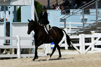 HSM_9029