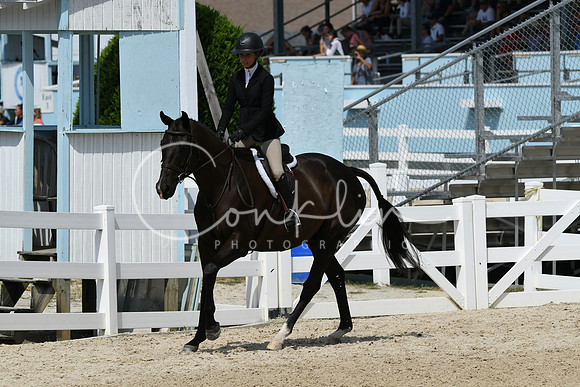 HSM_9029