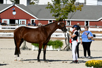 HSM_5336