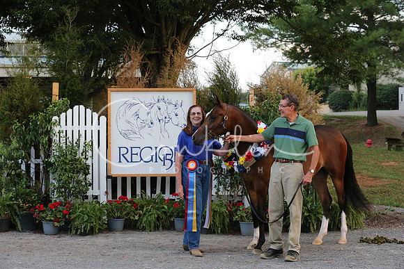 SRCX8072