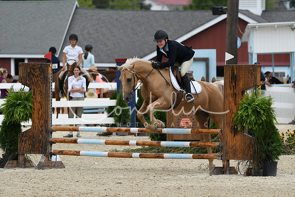 HSM_3008
