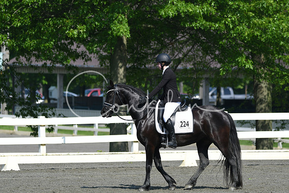 HSM_1095