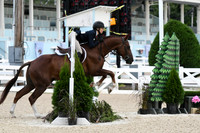 HSM_4971