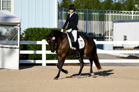 HSM_4233